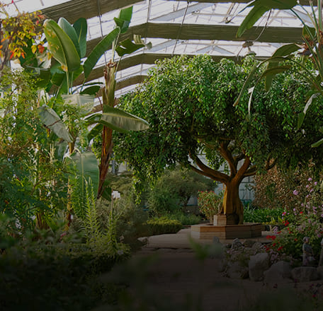 1년 내내 꽃향기를 만끽할 수 있는 실내 온실 식물원