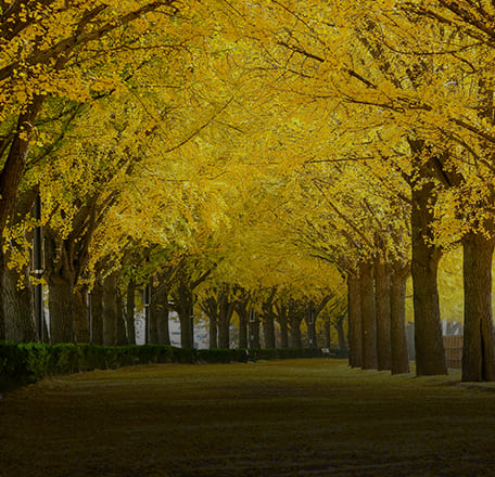 국토교통부 주관 '걷고 싶은 아름다운 거리'